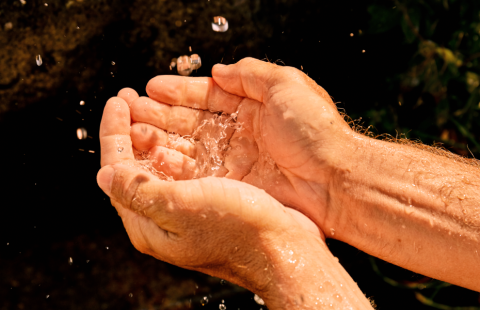 0C1A7235.png 0c1a7235.png